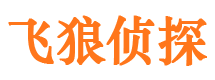 湘乡市调查公司